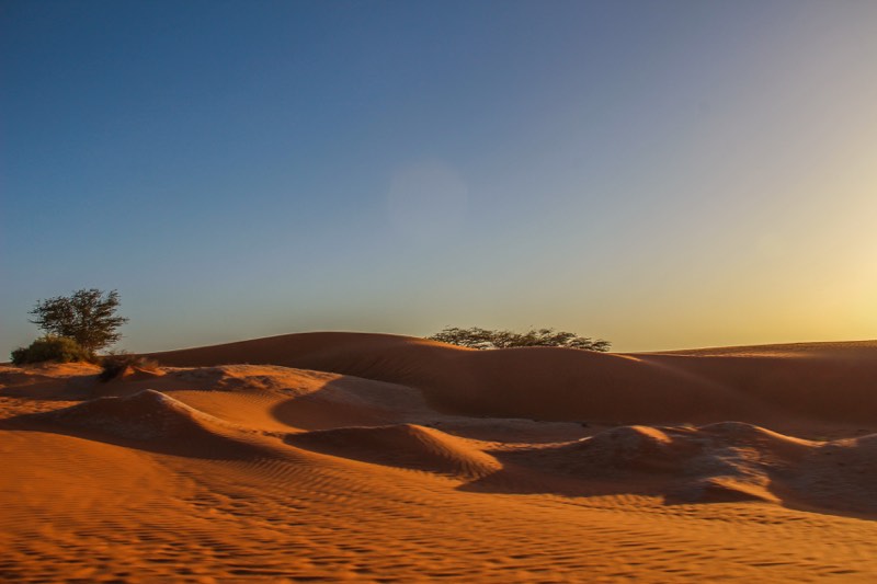 Sand dunes in the sunrise travelling through the sahara desert