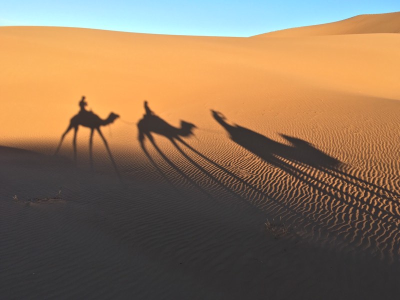 camel ride in the Sahara Desert camel ride - overlanders on camels