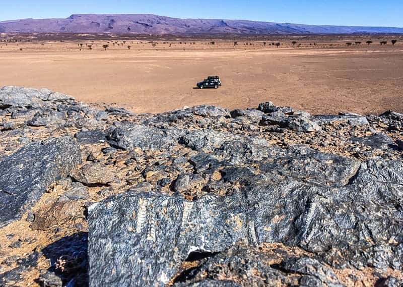 fossils morocco desert toyota prado land cruiser