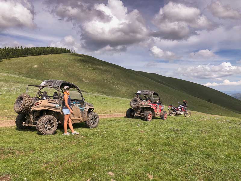 buggy review