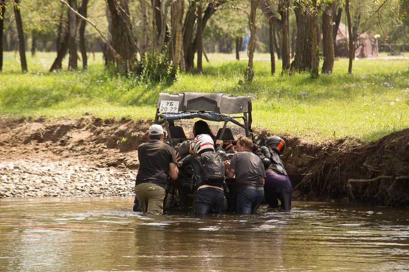 buggy rescued