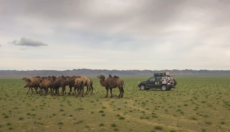 overlanding stories with overlandsite