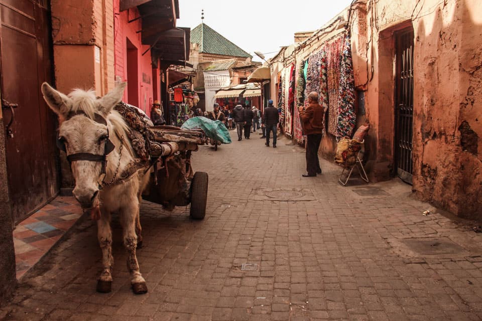 road trip organised morocco