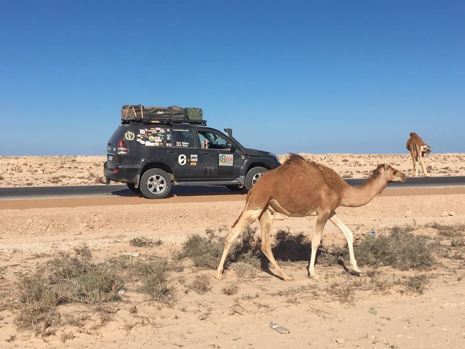 travel western sahara